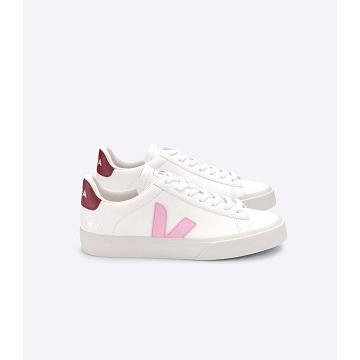 Veja CAMPO CHROMEFREE Men's Low Tops Sneakers White/Pink | NZ 193WNB